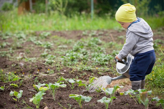 boy watering garden